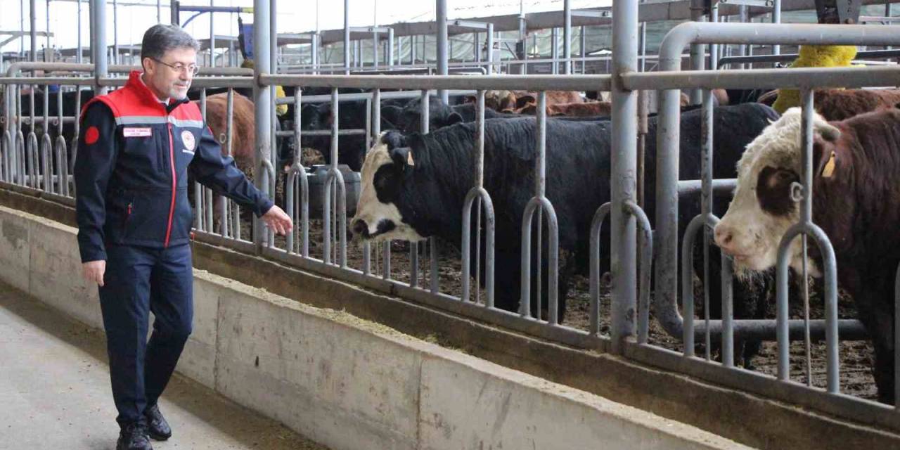 Tarım Ve Orman Bakanı Yumaklı: "31 Milyar Dolara Ulaşan Gıda İhracatını 40 Milyar Dolara Çıkarmanın Gayretindeyiz"