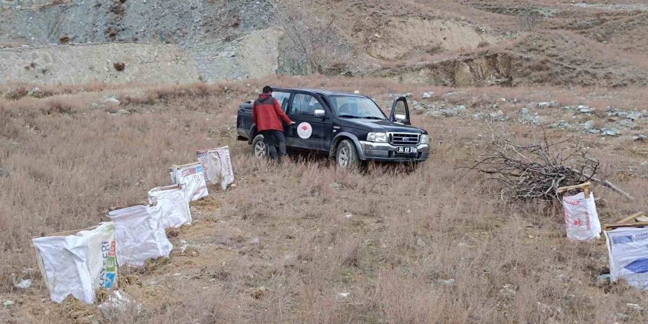 Tuz Çalısı Deneme Sahası Oluşturuldu