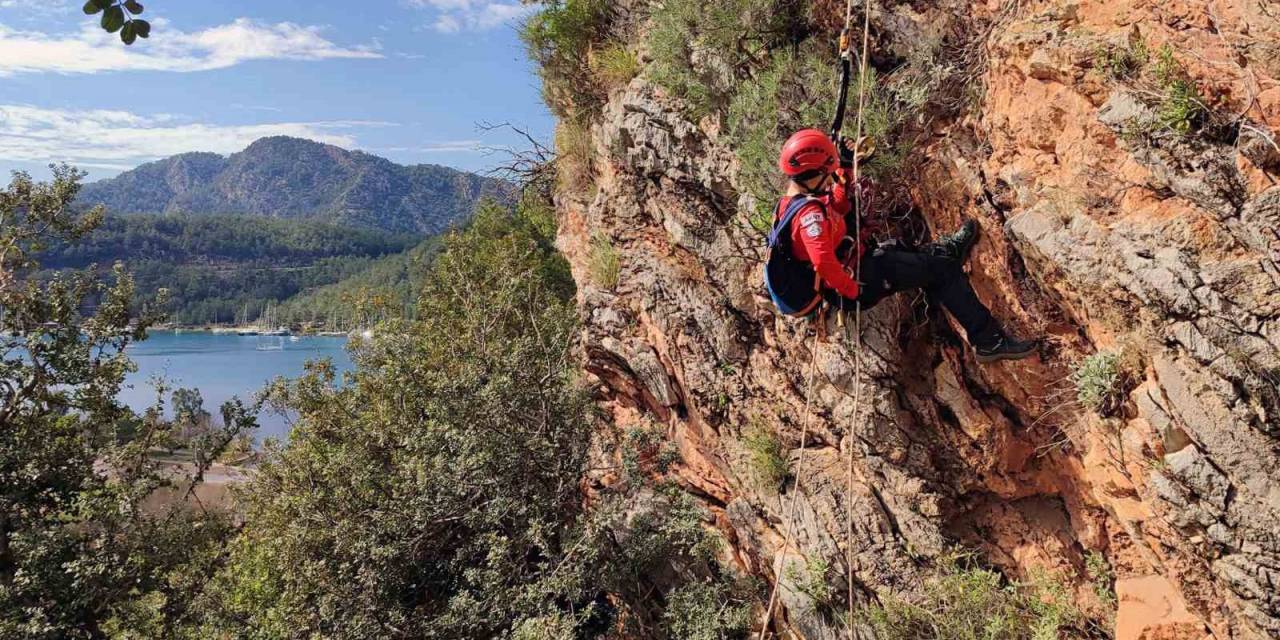 Sarp Kayalarda Mahsur Kalan Koyunları Marmaris Akut Ekipleri Kurtardı