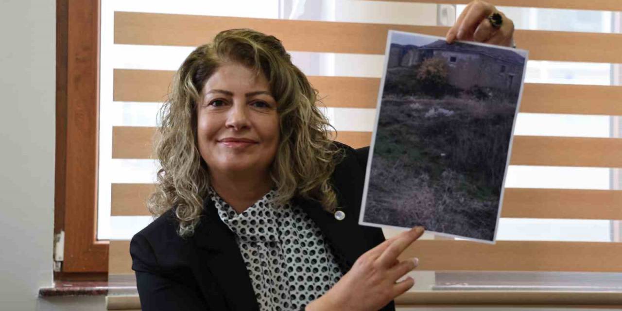 Baltalık’tan "Sahte Seçmen" Uyarısı