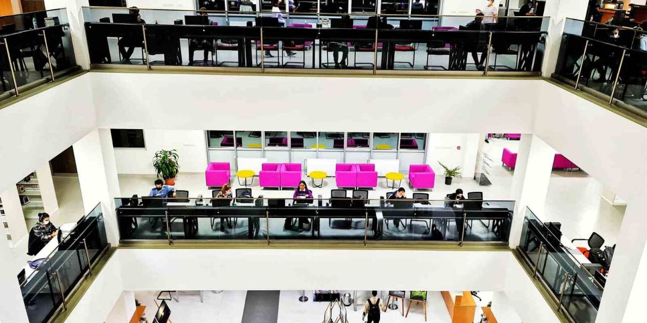 Prof. Dr. Durmuş Günay Kütüphanesinden Çevre Ve Sürdürülebilirliğe Yeni Bir Adım