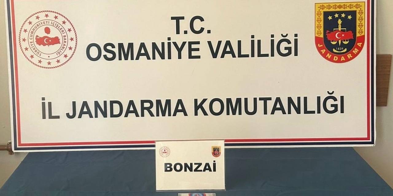 Osmaniye’de Jandarmadan Uyuşturucu Ve Kaçakçılık Operasyonları: 25 Gözaltı
