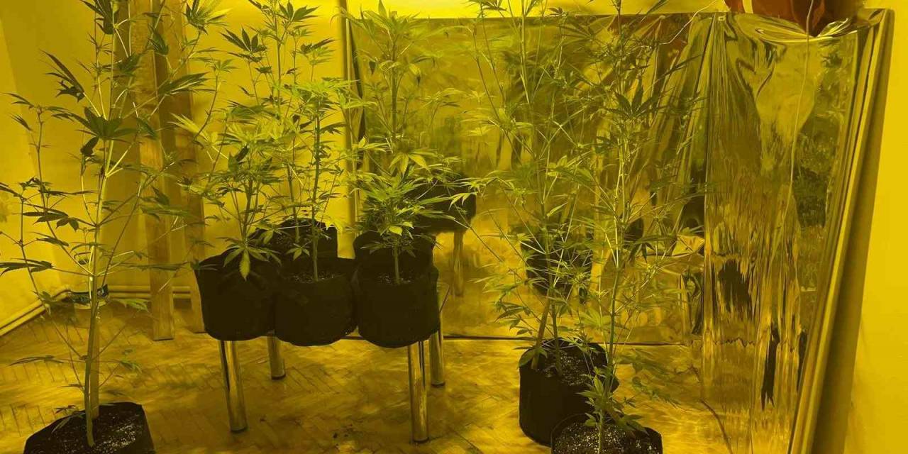 Kağıthane’de Uyuşturucu Operasyonu: 3 Gözaltı