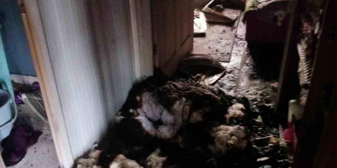 Sinop’ta Konteyner Yangını