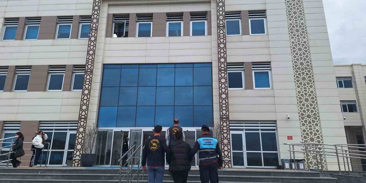 Haklarında 16 Yıl Ve 18 Yıl Hapis Cezası Bulunan 2 Şüpheli Jandarmadan Kaçamadı
