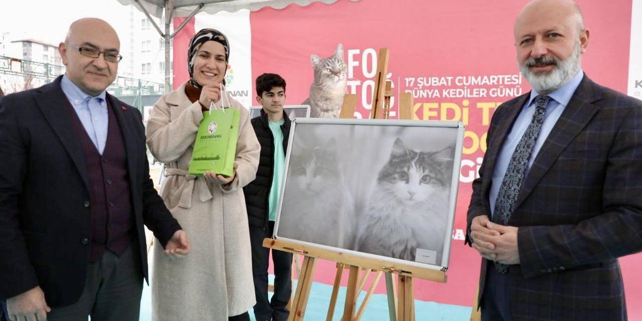 Kocasinan’da Kedi Temalı Fotoğraf Yarışması’nda Kazananlar Ödüllerini Aldı