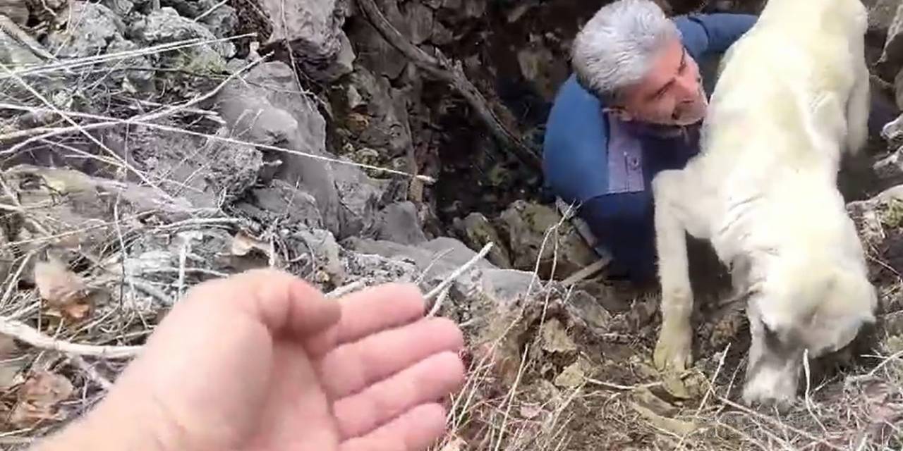 Kuyuya Düşen Köpeğe Vatandaştan Yardım Eli