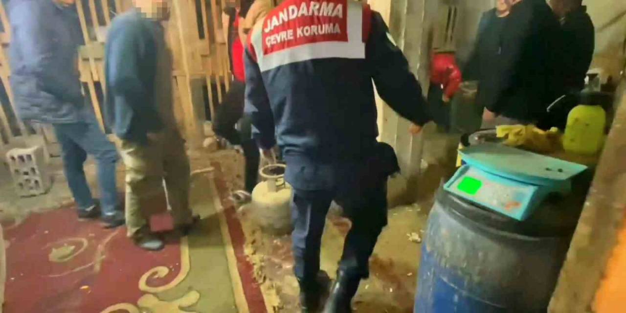 Horoz Dövüştürücülerine Jandarmadan Suçüstü