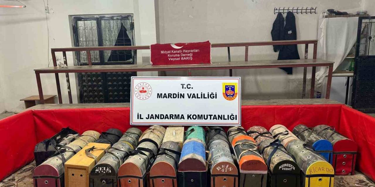 Mardin’de 54 Horozu Dövüştüren 83 Kişiye 578 Bin Lira Ceza