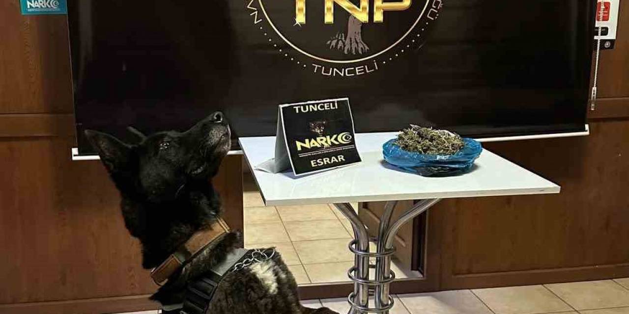 Tunceli’de Zehir Tacirleri, ‘Fırtına’dan Kaçamadı