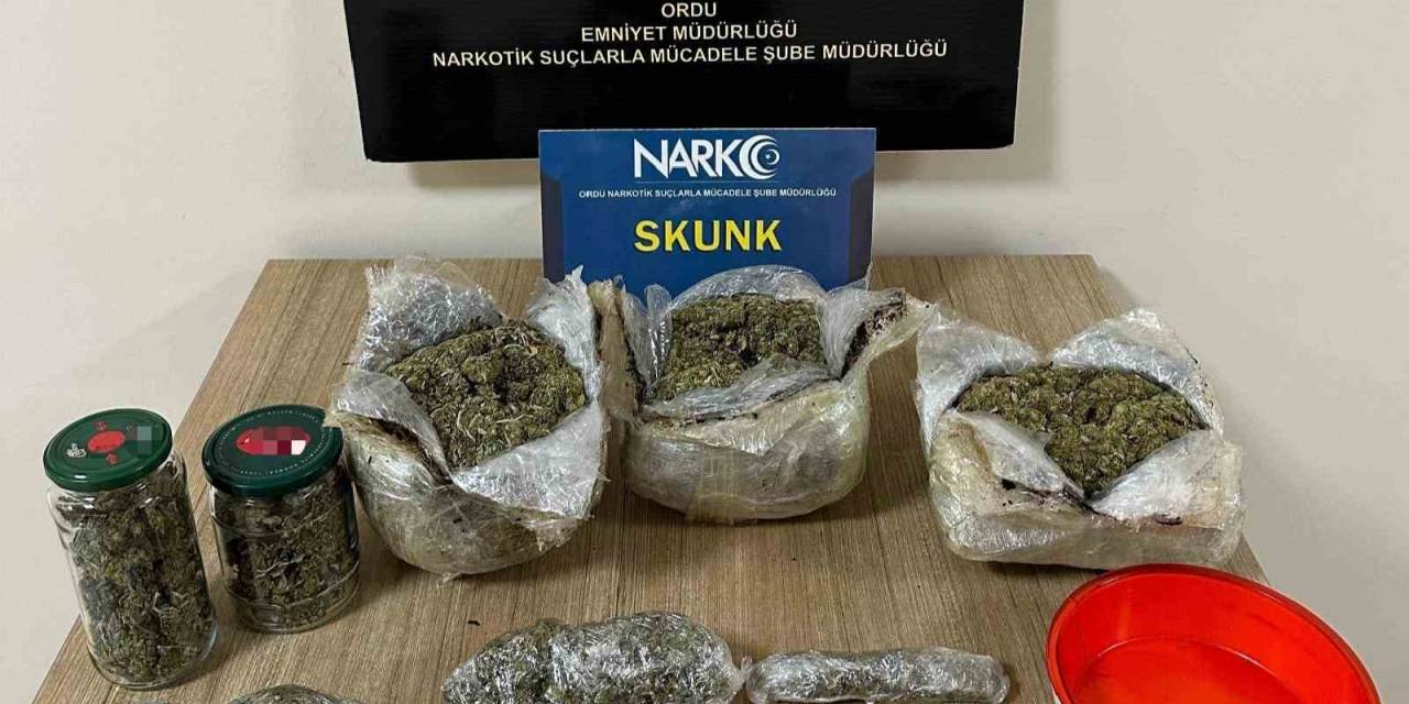 Ordu’da Uyuşturucu Operasyonunda 3 Kişi Tutuklandı