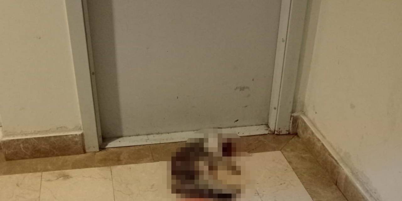 Kedi Eros’u Darp Ederek Öldüren İbrahim Keloğlan Hakkındaki Karar Kaldırıldı