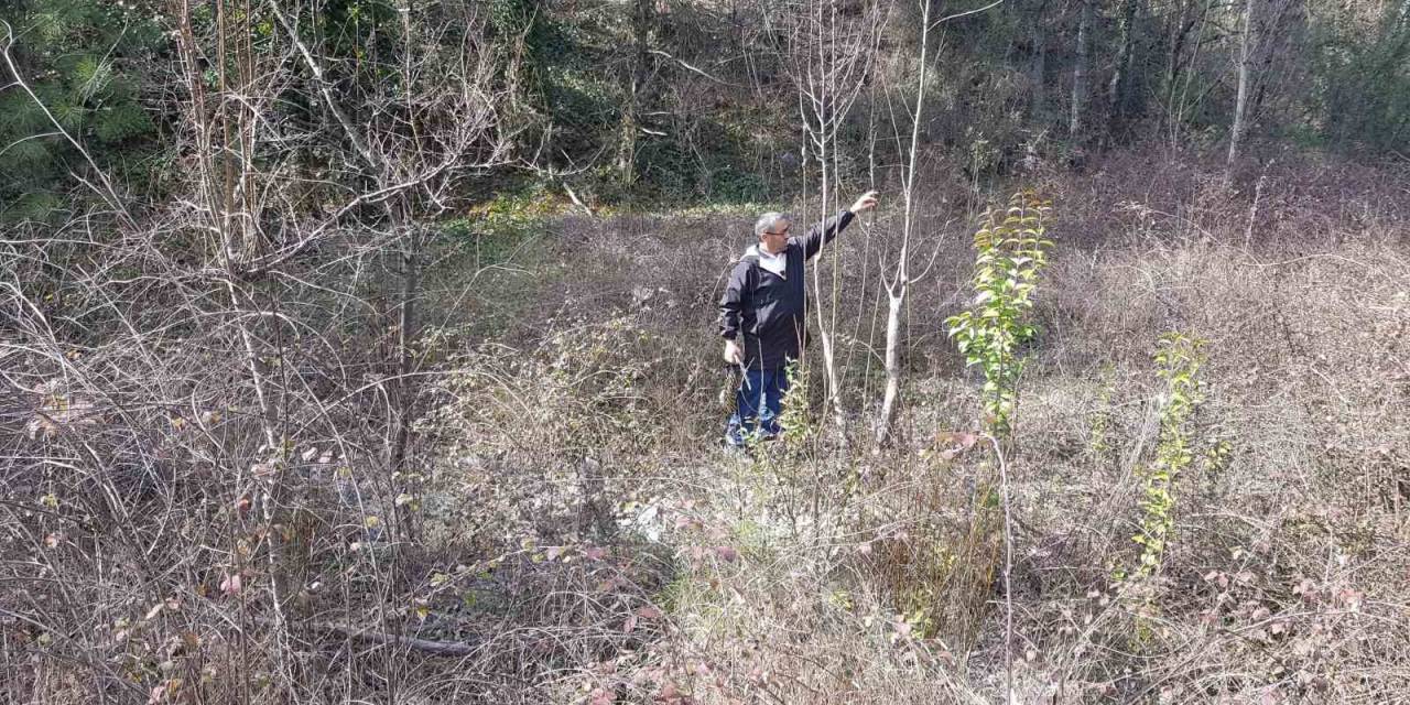 Emekli İmam Gelecek Nesil İçin Doğadaki Meyve Ağaçlarını Aşılıyor