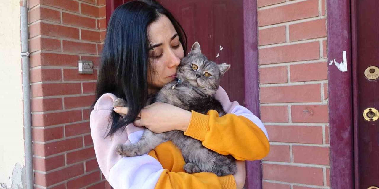 Tavşanlı İlçesinde Kayıp Olarak Aranan Kedi 10 Gün Sonra Bulundu
