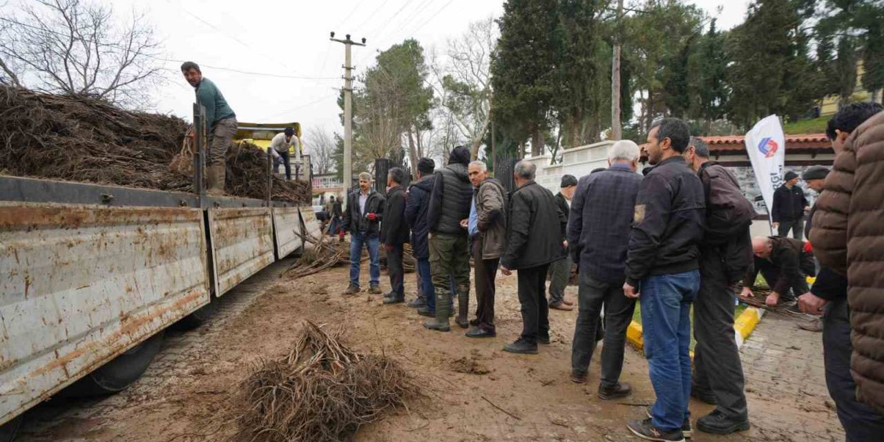 Balıkesir Büyükşehir’den Üreticilere Meyve Fidanı Desteği