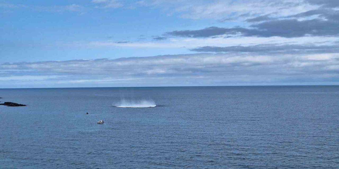Trabzon Açıklarında Sıcak Dakikalar