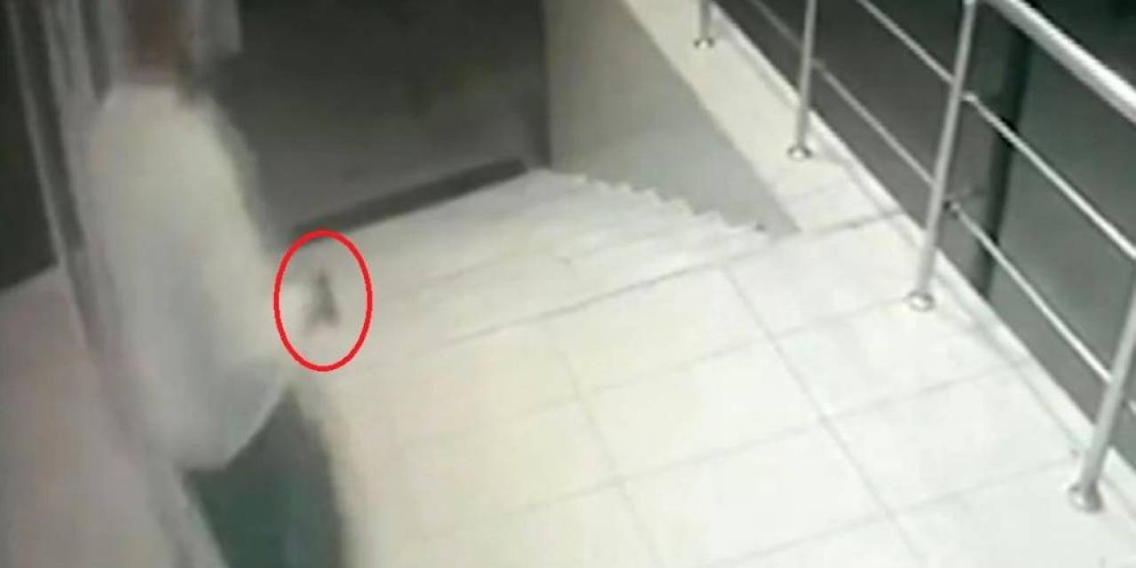 Diyarbakır’da Düğün Salonunda Dehşet Saçan Sanığa 15 Yıldan 26 Yıla Kadar Hapis Talebi