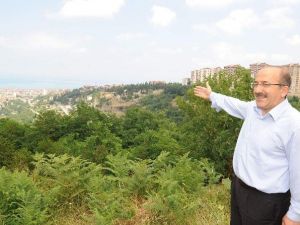 Botanik’te Çalışmalar Aralıksız Sürüyor