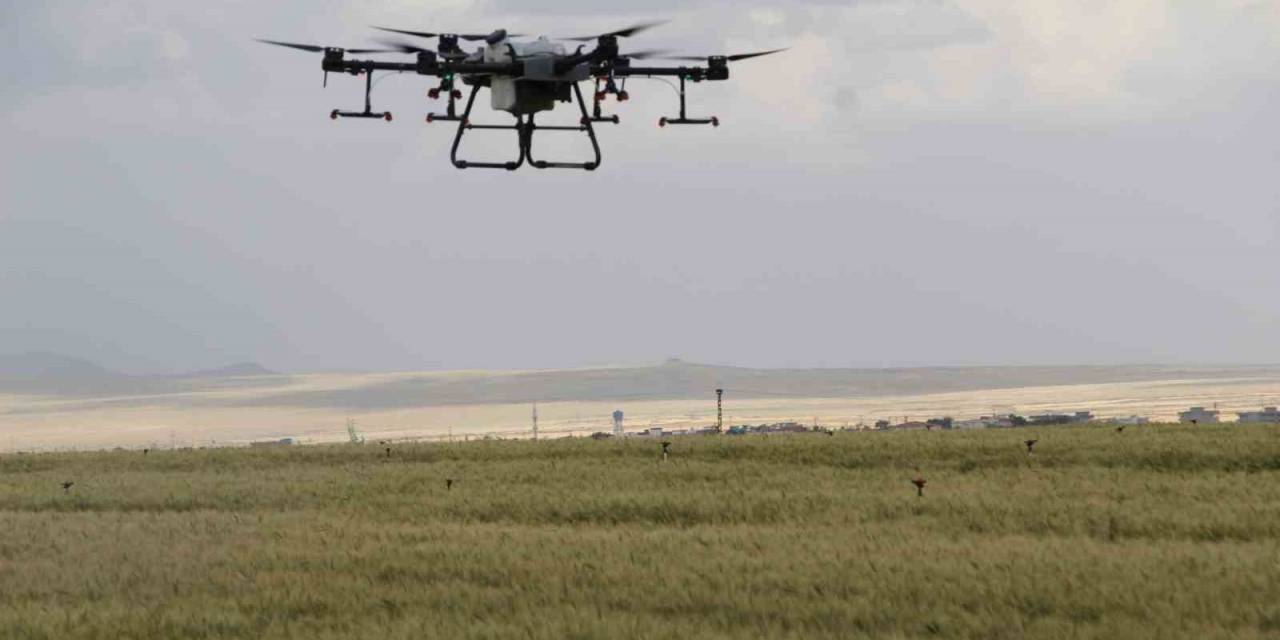 Sökeli Üreticilere Drone İle İlaçlama Uyarısı