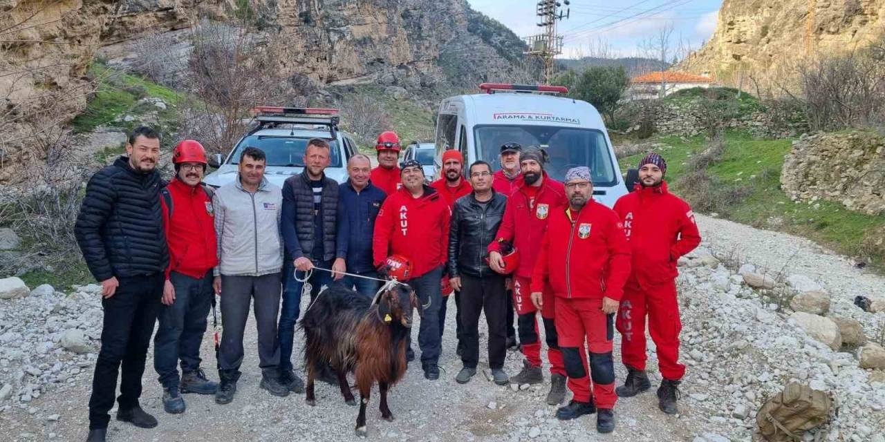 100 Metre Yükseklikte Nefes Kesen Keçi Kurtarma Operasyonu