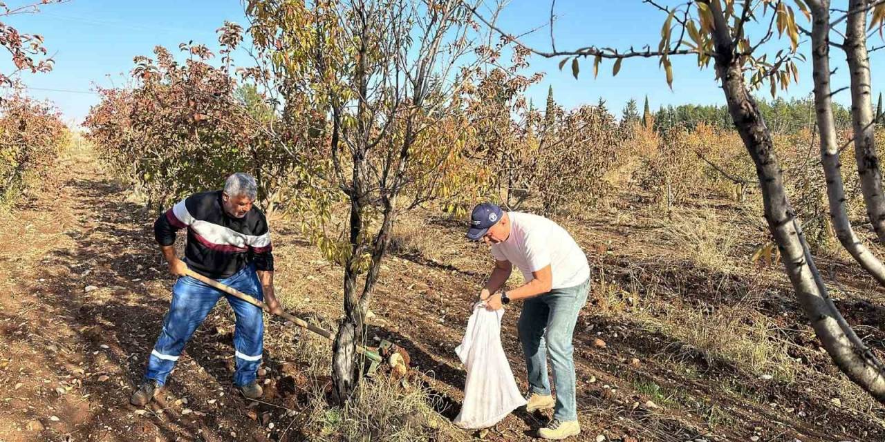 Adıyaman Üniversitesi’nin Tarımsal Projesi Desteğe Değer Görüldü