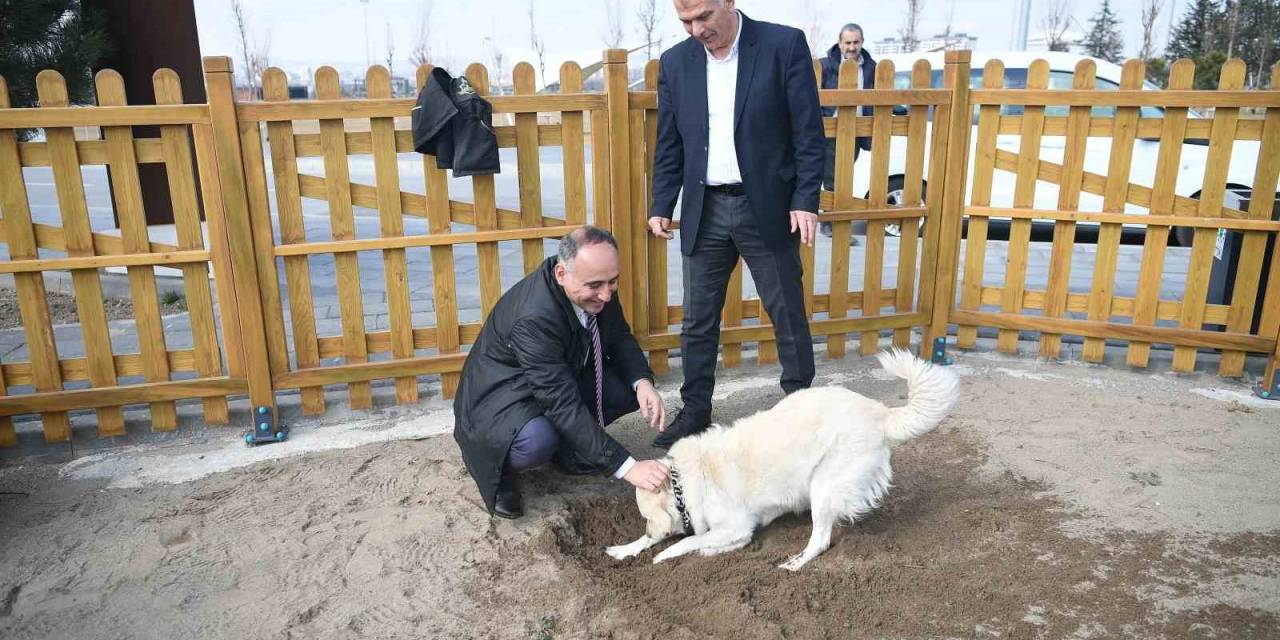Büyükşehir’in Köpek Eğitim Parkuru Millet Bahçesi’nde Hizmete Hazır