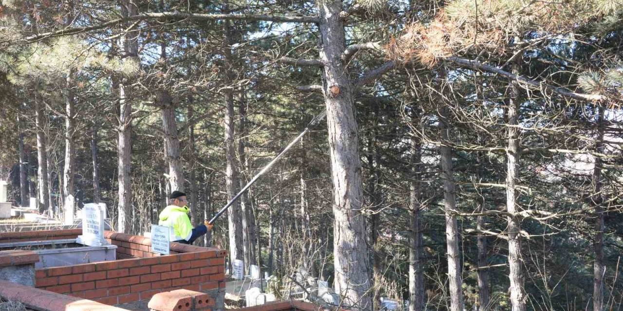 Bozüyük’te Çalışmalar Devam Ediyor