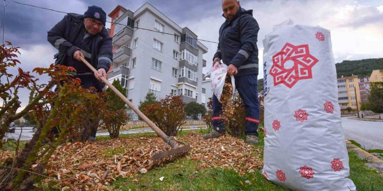 Karesi’de Budanan Dallar Gübre Oluyor