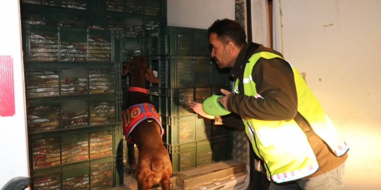 Adıyaman’da Jandarmadan Uyuşturucu Operasyonu