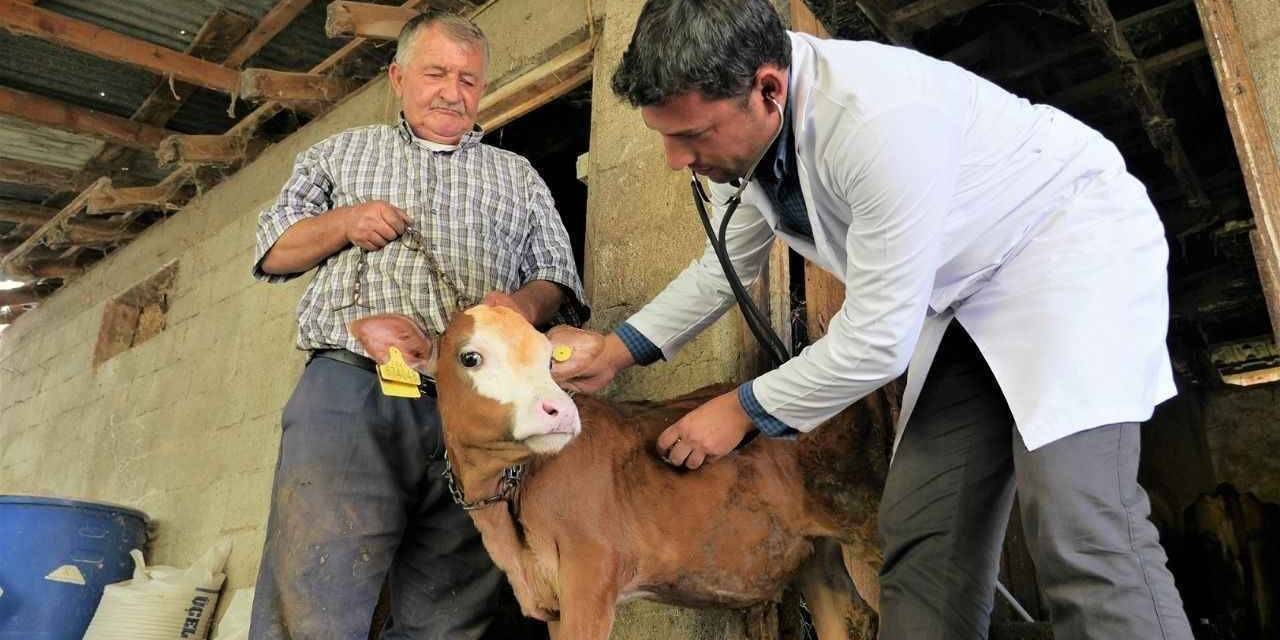 Ak Partili Pekdemir, Pamukkale’de Kırsal Kalkınma Hamlesi Başlatacak