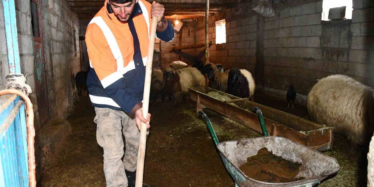 Beytüşşebap’ta Besicilerin Zorlu Kış Mesaisi Sürüyor