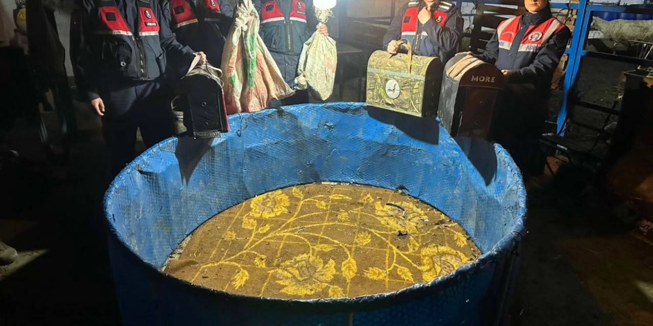 Efeler’de Horoz Dövüştüren 9 Kişi Yakalandı