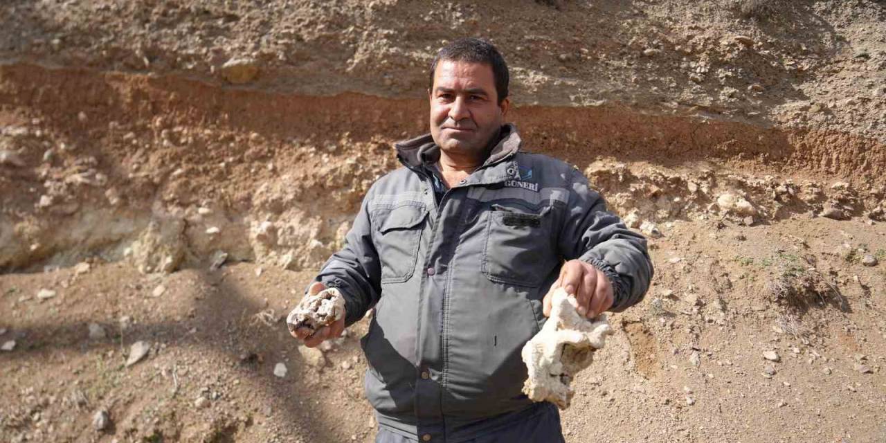 Niğde’de Dinozor Fosili İddiası