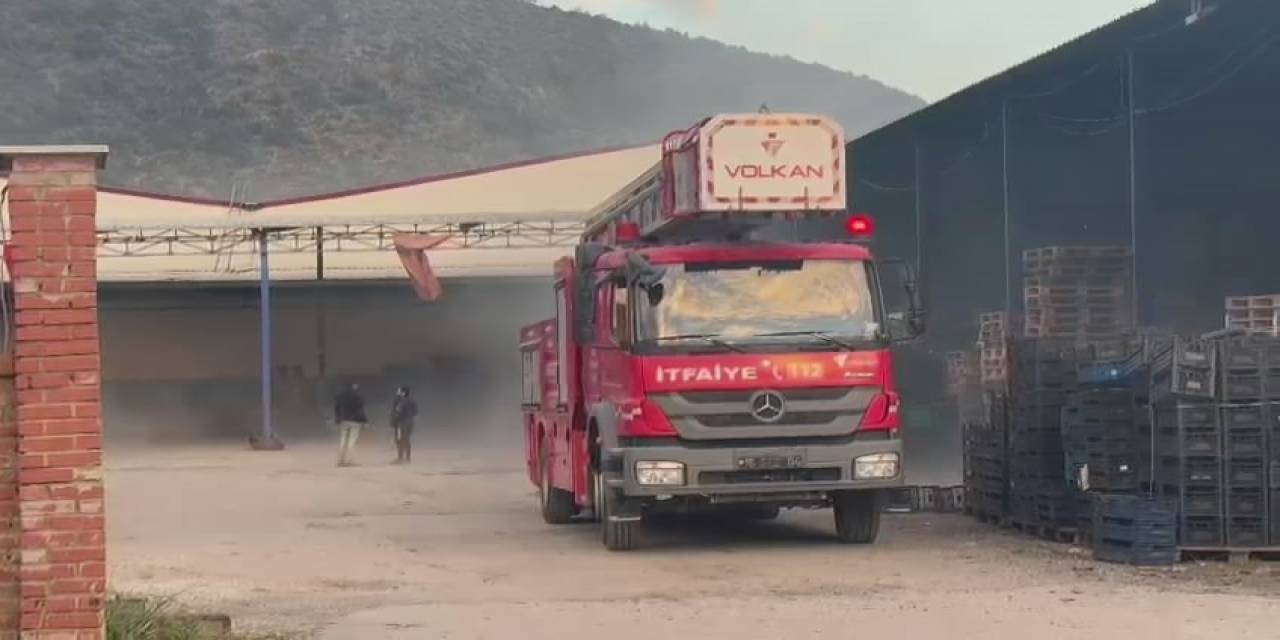 Babasının İş Yerini Ateşe Verdi