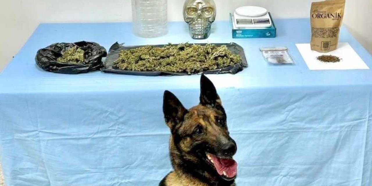 Jandarma Uyuşturucu Tacirlerine 4 İlçede Operasyon Düzenledi: 8 Gözaltın