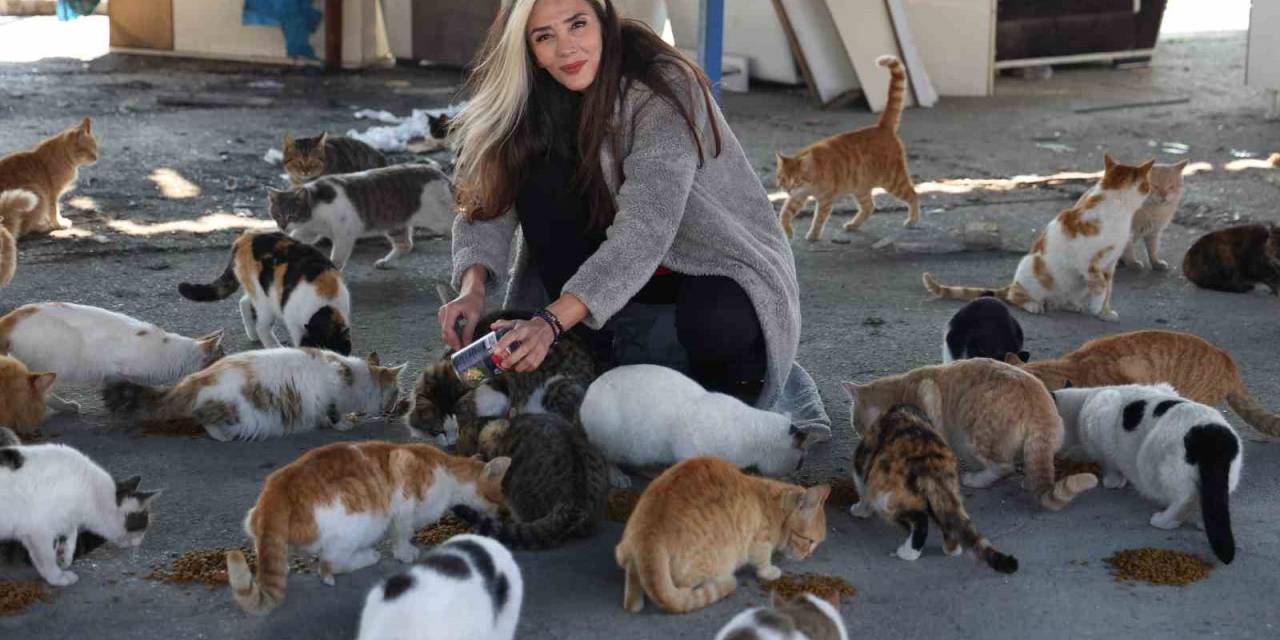 Fatma Öğretmen, Enkaz Kentin Sokak Hayvanlarına Umut Oldu