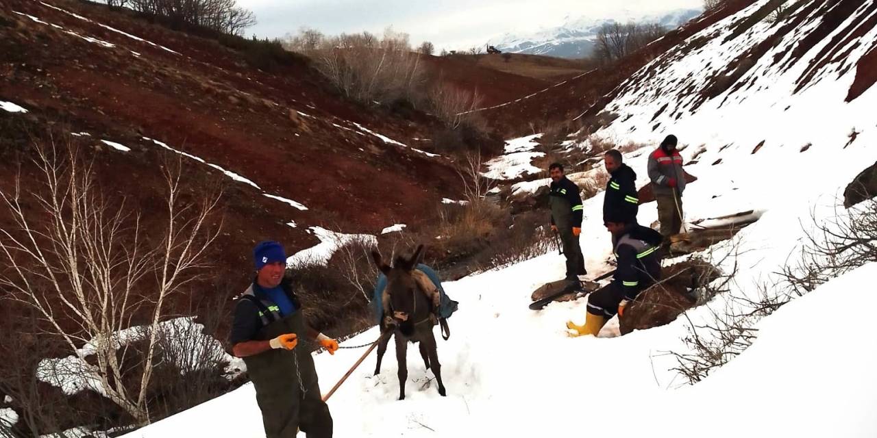 Eski Ekipleri Karlı Dağları Aşıyor