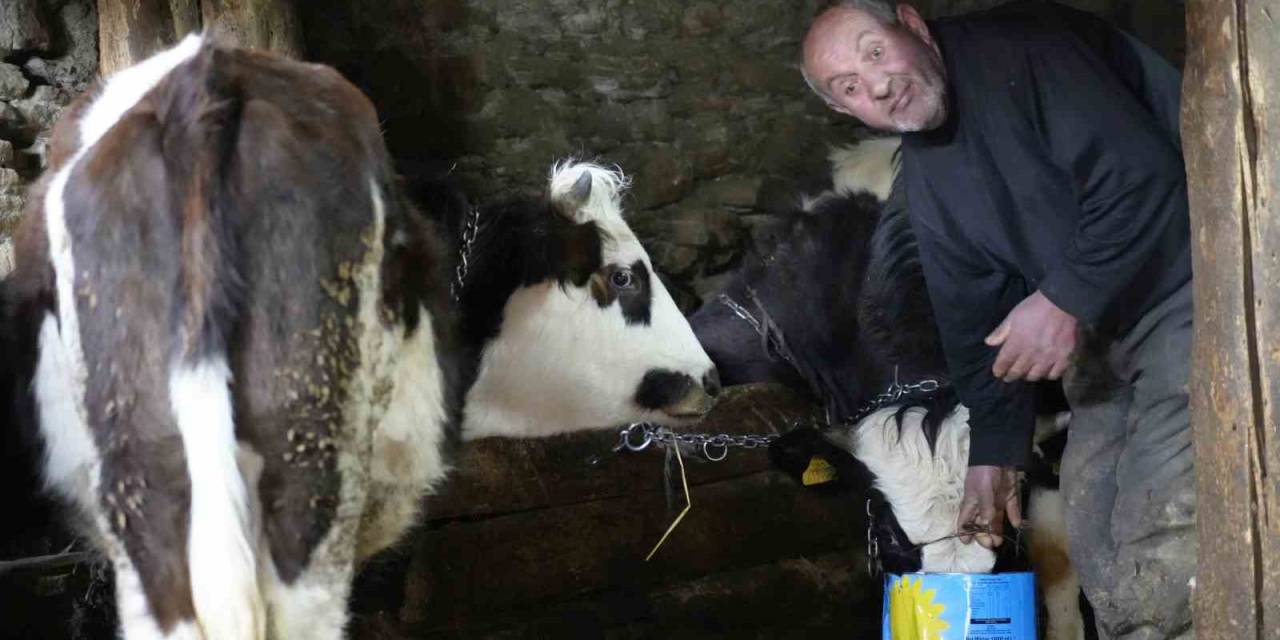 Görmeyen Gözlerine Rağmen Hayvancılık Yaparak Hayata Tutunuyor