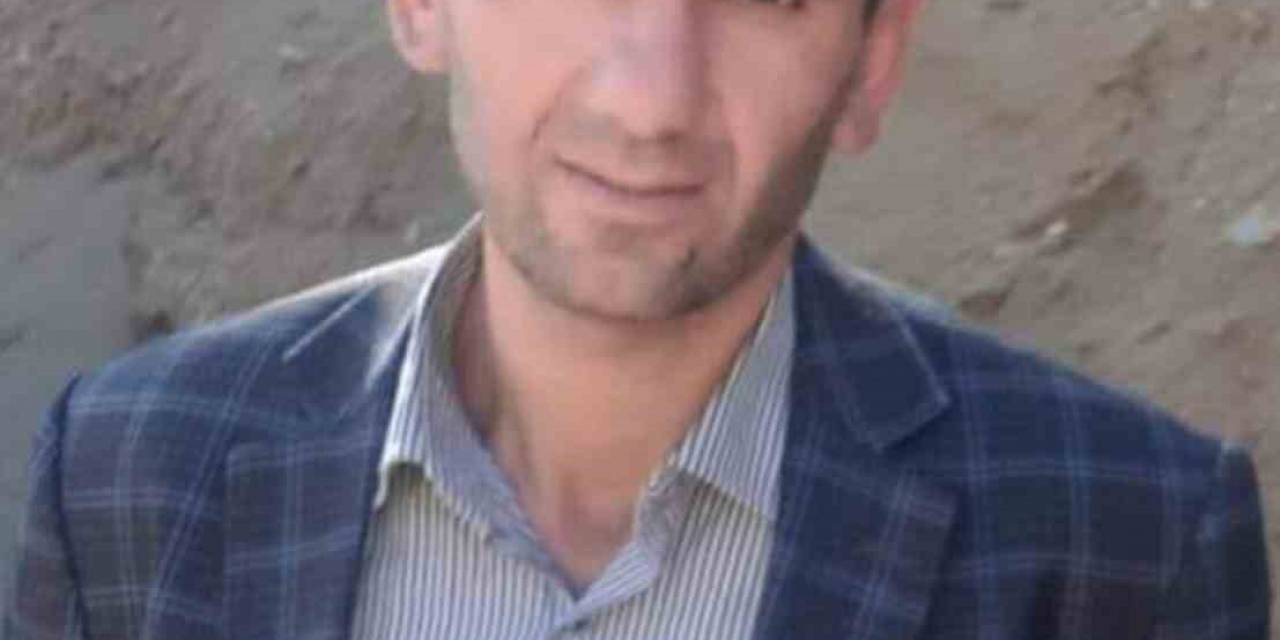 Hizan’da Üzerine Ağaç Devrilen Adam Hayatını Kaybetti