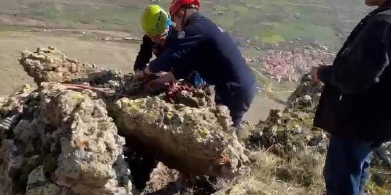 İtfaiyeden Nefes Kesen Hayvan Kurtarma Operasyonu