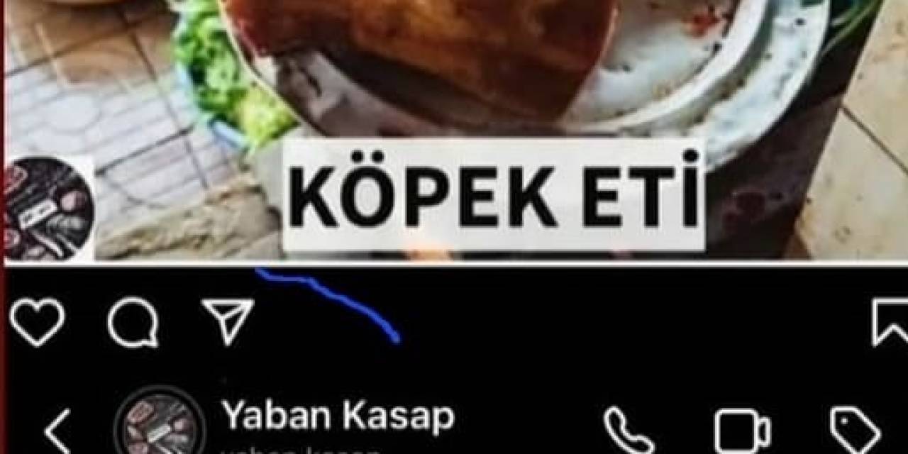 Köpek Eti Satışı İddiasında Gerçek Ortaya Çıktı