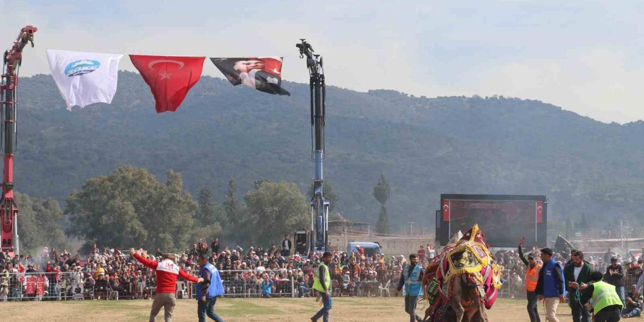 Pehlivan Develer Bağarası’nda Güreşti