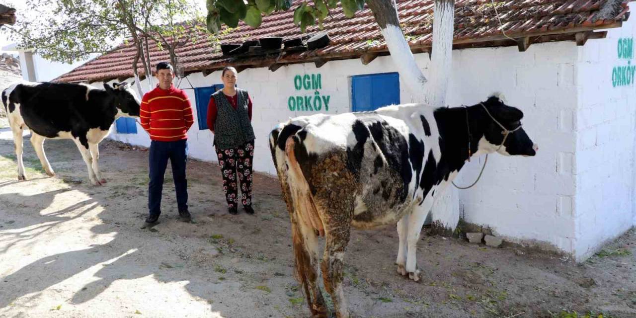 Muğla Ve Aydın’a 30 Milyon Tl Orköy Desteği