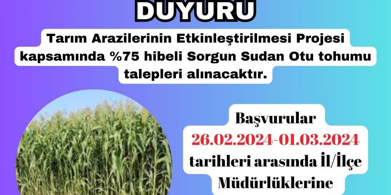 Kütahya’da Üreticilere Yüzde 75 Hibeli Sorgun Sudan Otu Tohumu Dağıtılacak