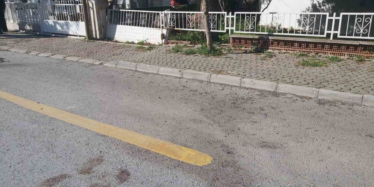 Didim’de Cinayet: 1 Ölü