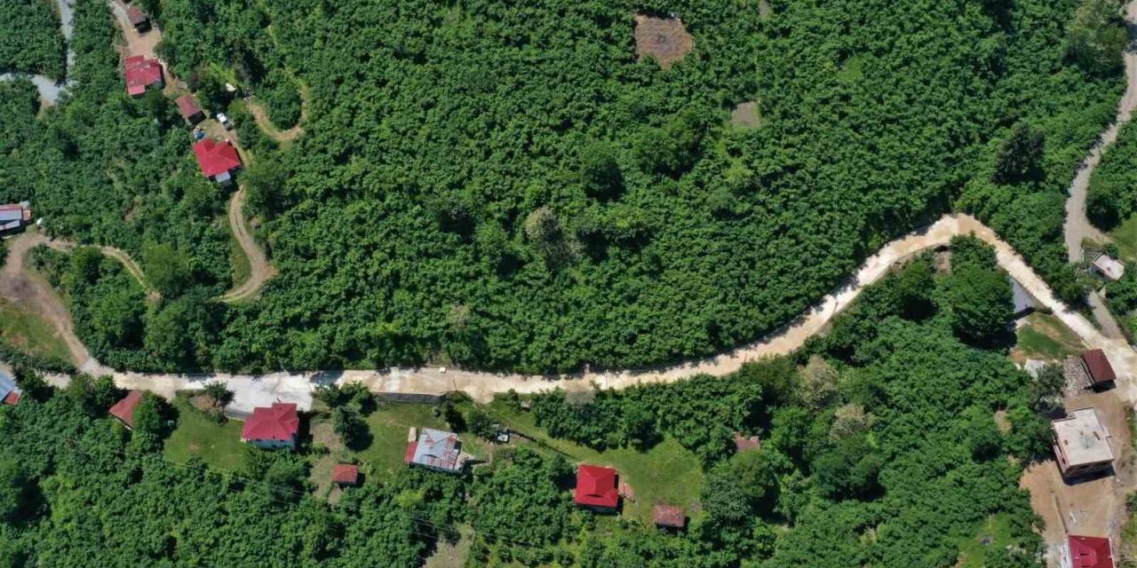 Altınordu’da Sıcak Asfalt Ve Beton Yol Çalışmaları Sürüyor