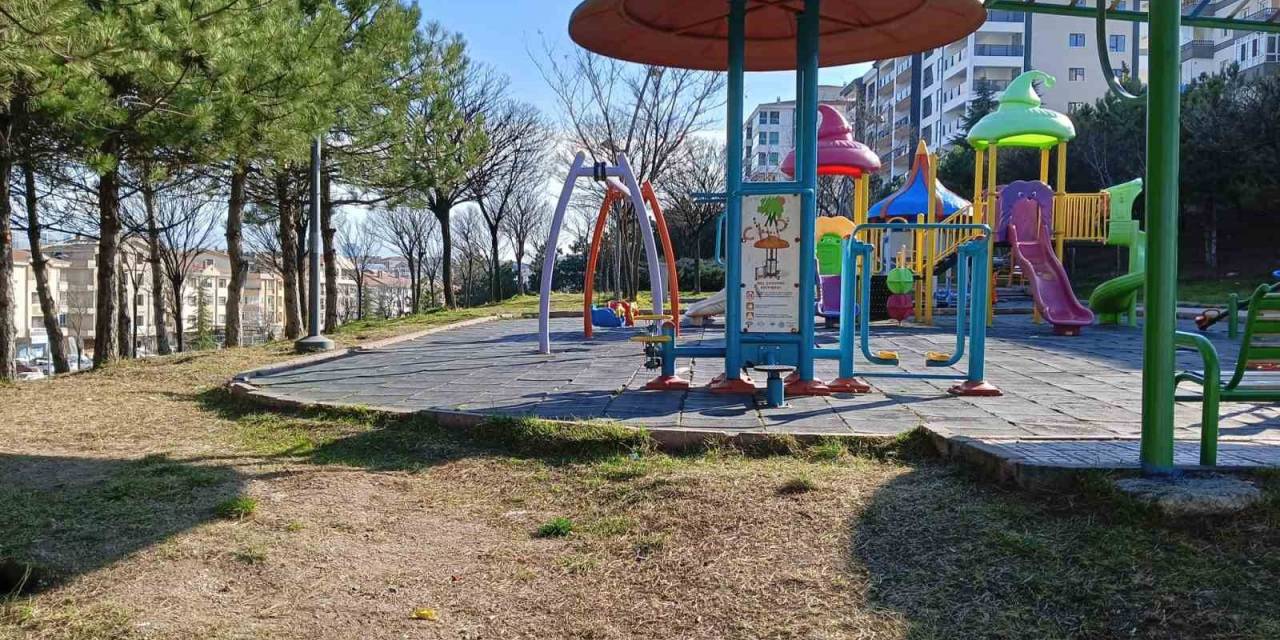 Ağacı Oyarken Kendisini Bıçakla Yaraladığı İddia Edilen Çocuk Hayatını Kaybetti