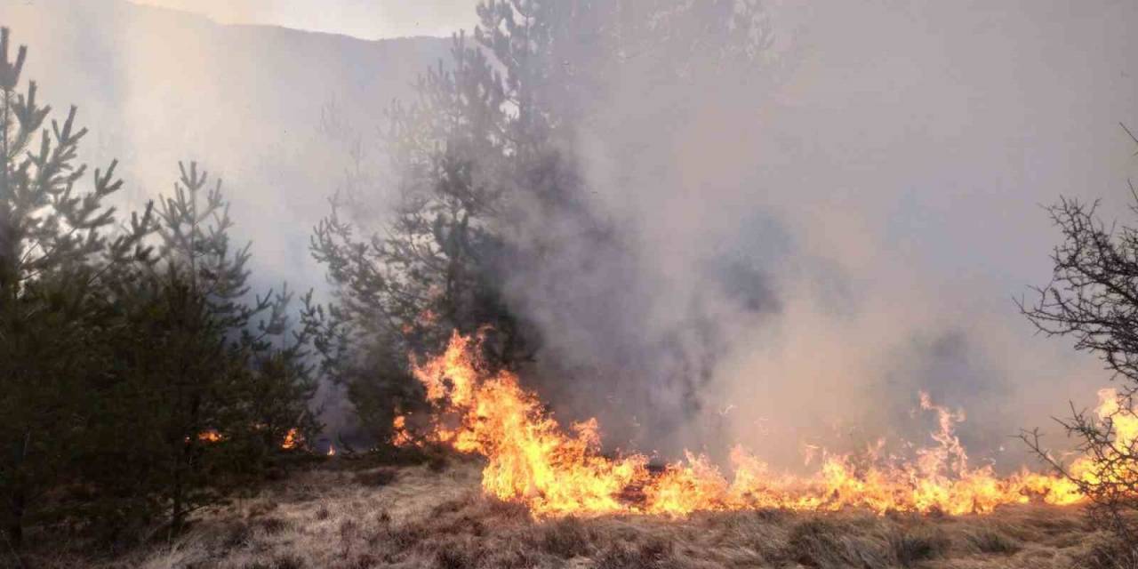 Kastamonu’da Ormanlık Alanda Çıkan Yangın Söndürüldü
