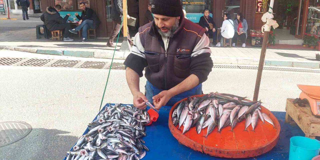 Denizden Çıkan Balık Azaldı, Fiyatlar Arttı