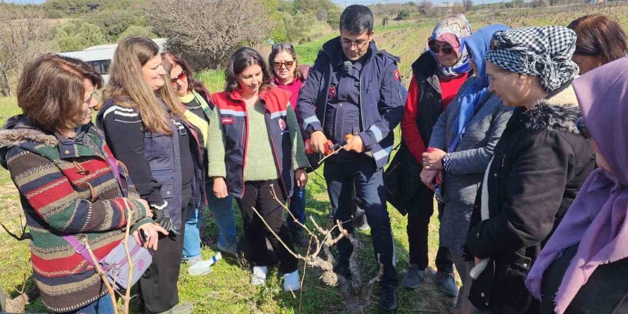 Bozcaada Bağcılıkta Modern Teknikler Eğitimi